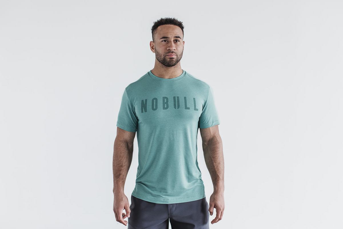 Blue Men's Nobull T Shirts | USA615924