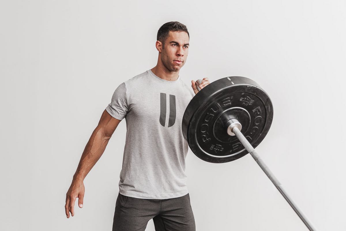 Light Grey Men's Nobull Horns T Shirts | USA950812