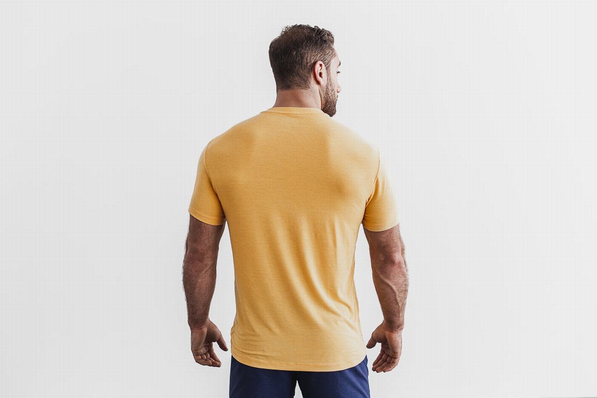 Yellow Men's Nobull T Shirts | USA216348